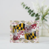 Carte Postale Drapeau du Maryland (Debout devant)