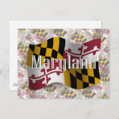 Carte Postale Drapeau du Maryland (Devant / Derrière)
