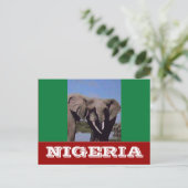Carte Postale Drapeau du Nigeria (Debout devant)