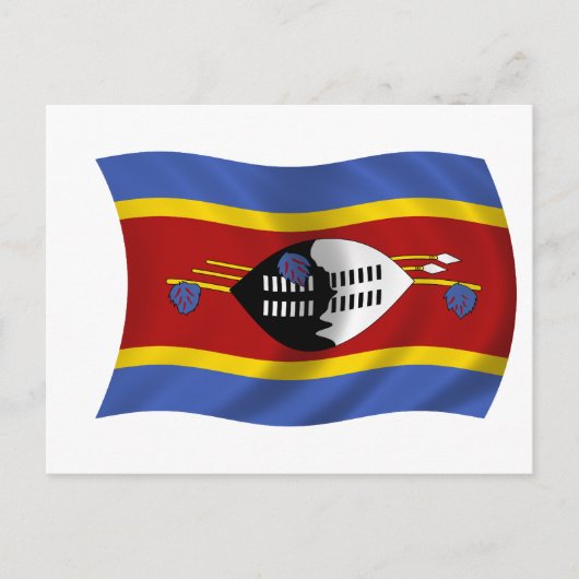 Carte Postale Drapeau du Swaziland (Devant)