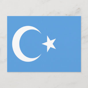 Carte Postale Drapeau du Turkestan oriental Ouyghur