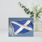 Carte Postale drapeau écossais (Debout devant)