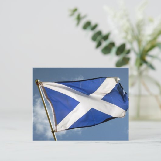 Carte Postale drapeau écossais (Debout devant)