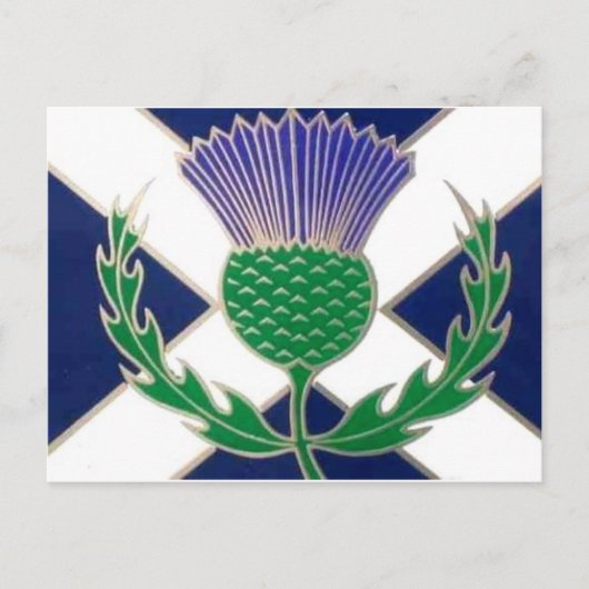 Carte Postale Drapeau écossais et chardon (Devant)