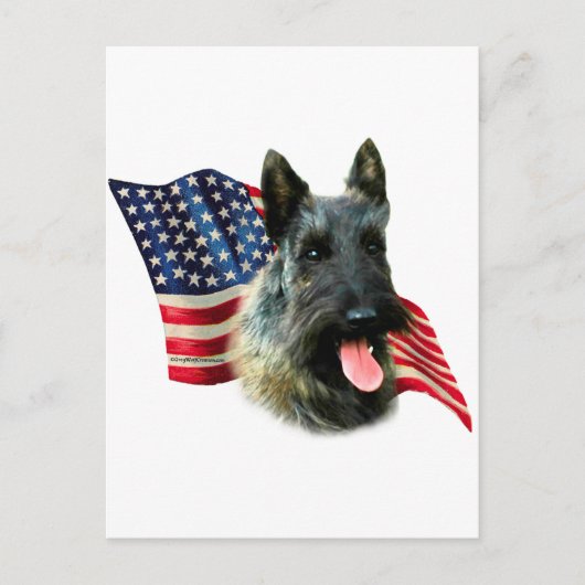 Carte Postale Drapeau écossais Terrier (brindle) (Devant)