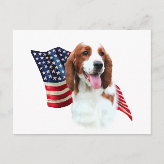 Carte Postale Drapeau espagnol Welsh Springer (Devant)