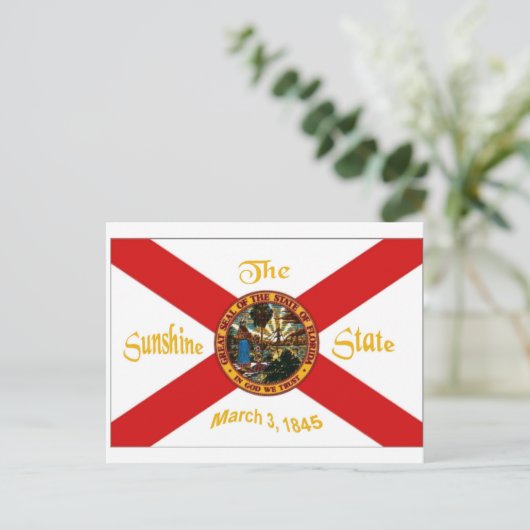 Carte postale Drapeau Floride (Debout devant)
