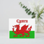 Carte Postale Drapeau gallois Cymru (Debout devant)