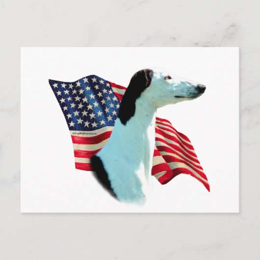 Carte Postale Drapeau Greyhound (Devant)