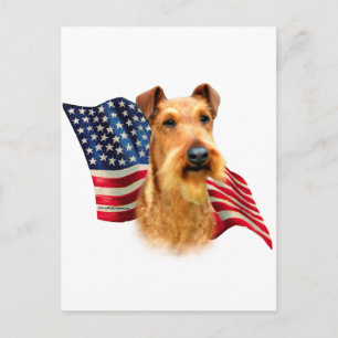 Carte Postale Drapeau irlandais Terrier