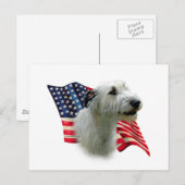 Carte Postale Drapeau irlandais Wolfhound (Devant / Derrière)