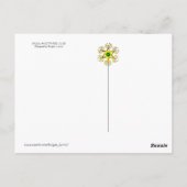 CARTE POSTALE DRAPEAU JOLLY ROGER ET TROIS LIEUX (Dos)