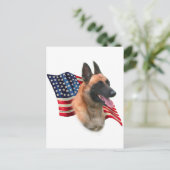 Carte Postale Drapeau malinois belge (Debout devant)
