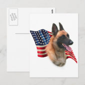 Carte Postale Drapeau malinois belge (Devant / Derrière)