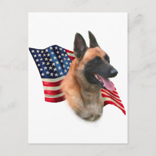 Carte Postale Drapeau malinois belge