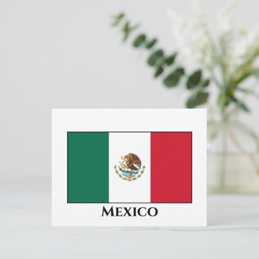 Carte Postale Drapeau mexicain (Debout devant)