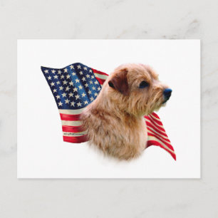 Carte Postale Drapeau Norfolk Terrier