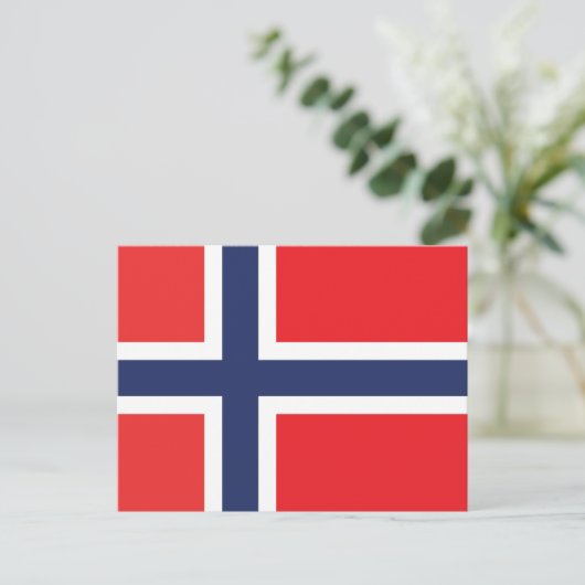 CARTE POSTALE DRAPEAU NORVÈGE (Debout devant)