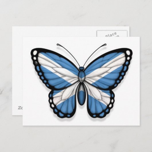 Carte Postale Drapeau papillon écossais (Devant / Derrière)