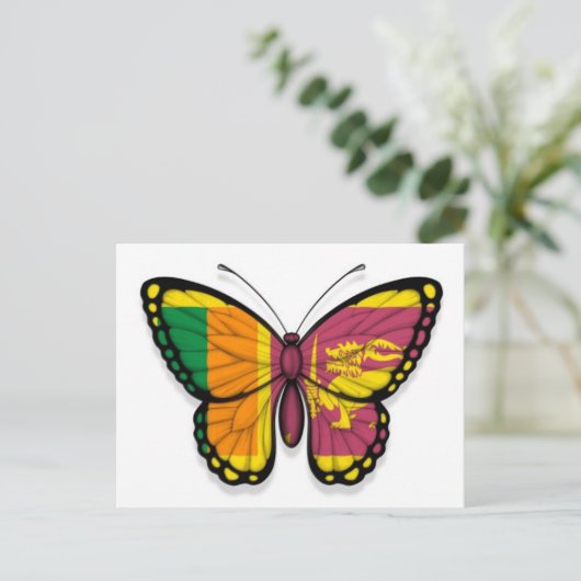 Carte Postale Drapeau papillon sri-lankais (Debout devant)