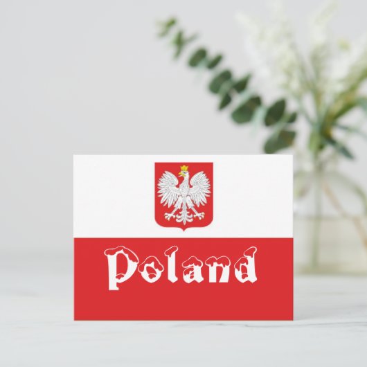 Carte Postale Drapeau polonais (Debout devant)