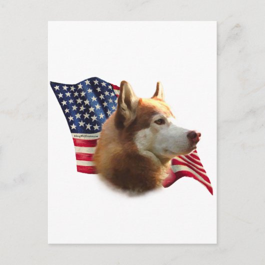 Carte Postale Drapeau rouge sibérien Husky (Devant)