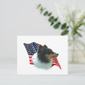 Carte Postale Drapeau Shetland Sheepdog (tri) (Debout devant)