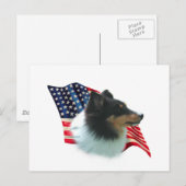 Carte Postale Drapeau Shetland Sheepdog (tri) (Devant / Derrière)