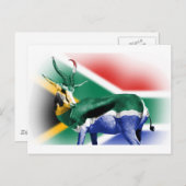 Carte Postale Drapeau Springbock sud-africain (Devant / Derrière)