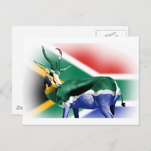 Carte Postale Drapeau Springbock sud-africain (Devant / Derrière)