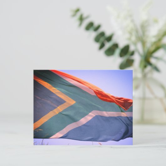 Carte Postale drapeau sud-africain (Debout devant)