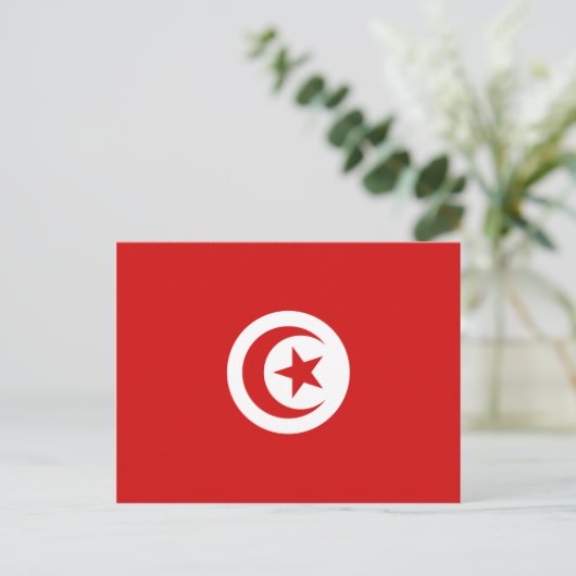 Carte postale Drapeau Tunisie (Debout devant)