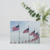 Carte Postale Drapeaux américains au Monument de Washington (Debout devant)