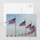 Carte Postale Drapeaux américains au Monument de Washington (Devant / Derrière)