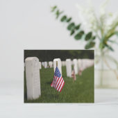 Carte Postale Drapeaux américains sur les tombes des vétérans am (Debout devant)