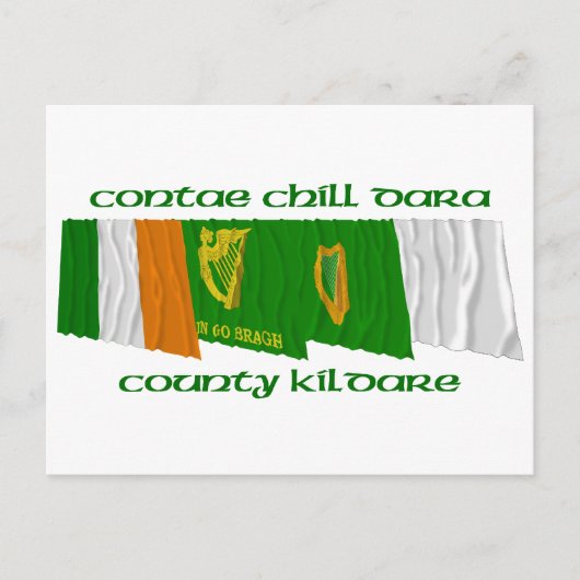 Carte Postale Drapeaux du comté de Kildare (Devant)