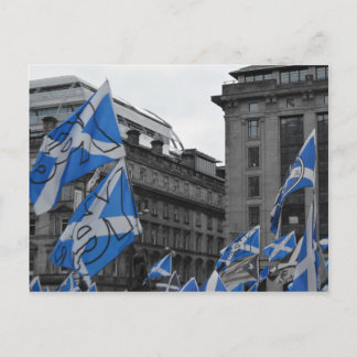 Carte Postale Drapeaux écossais flottent fièrement à Glasgow