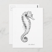 Carte Postale Drawing noir et blanc de Seahorse (Devant / Derrière)