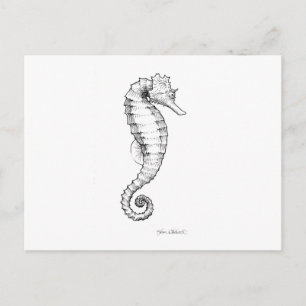Carte Postale Drawing noir et blanc de Seahorse