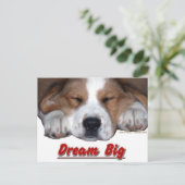 Carte Postale Dream Big Dog (Debout devant)