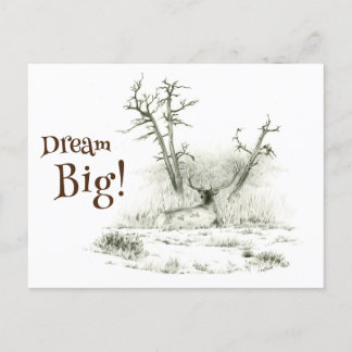 Carte Postale Dream Big Elk