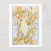 Carte Postale Dream Rose Buds Fairy (Devant)