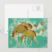 Carte postale Dreamy Camels (Devant / Derrière)