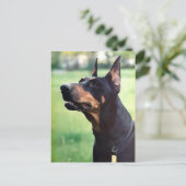 Carte Postale Dreamy Doberman Pinscher Peinture Visage (Debout devant)