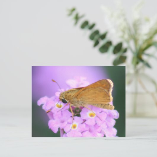Carte postale Dreamy Moth (Debout devant)