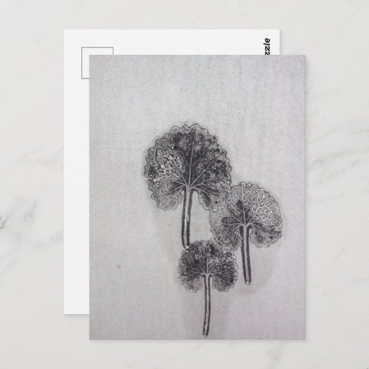 Carte Postale Dreiblatt (Devant / Derrière)