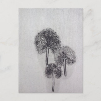 Carte Postale Dreiblatt