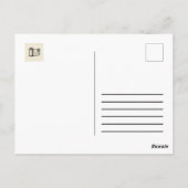 Carte Postale Dresden Postcard (Dos)