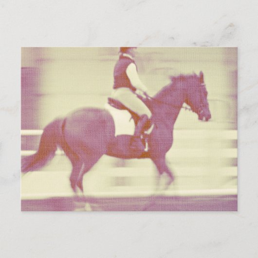 Carte Postale Dressage (Devant)