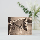 Carte Postale Dressage Grunge (Debout devant)